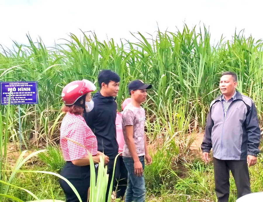 Trung tâm Dịch vụ nông nghiệp huyện Kbang hỗ trợ một số hộ dân xã Đak Hlơ triển khai mô hình tưới tiết kiệm nước trên cây mía, giúp nâng cao năng suất. Ảnh: M.P