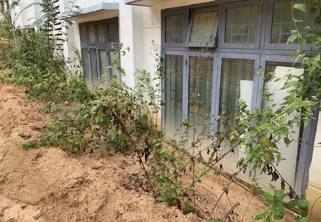 Đất sạt tràn xuống phòng làm việc