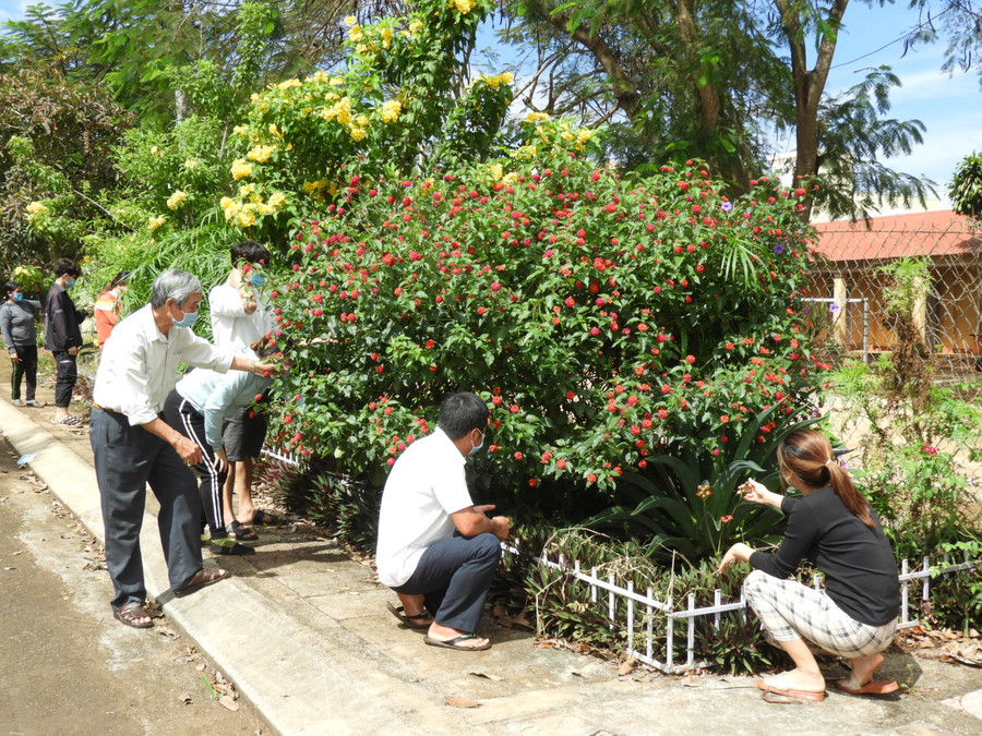 Người dân tổ dân phố 5 (thị trấn Đak Đoa) tham gia dọn vệ sinh và chăm sóc cây xanh trong khu dân cư. Ảnh: T.N