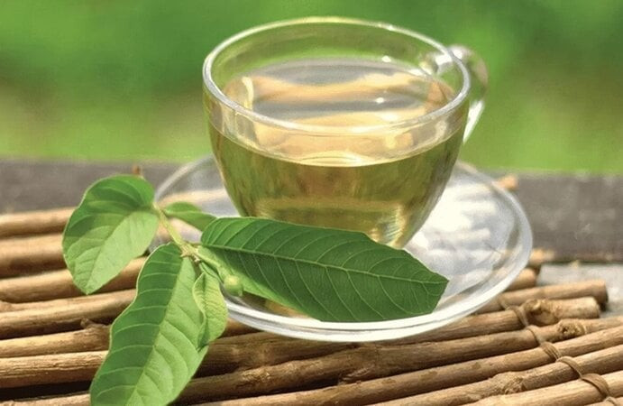 Uống nước lá ổi rất tốt cho sức khỏe. Ảnh minh hoạ Uống nước lá ổi rất tốt cho sức khỏe. Ảnh minh hoạ
