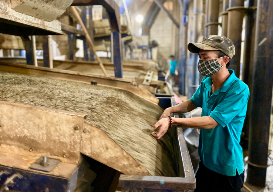 Sơ chế cà phê tại Công ty TNHH Xuất nhập khẩu Hoa Trang-Gia Lai. Ảnh: H.D