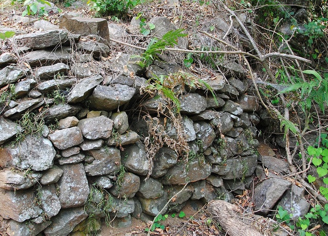 Trường Lũy được xây dựng bằng đá, xếp chồng lên nhau rất kiên cố