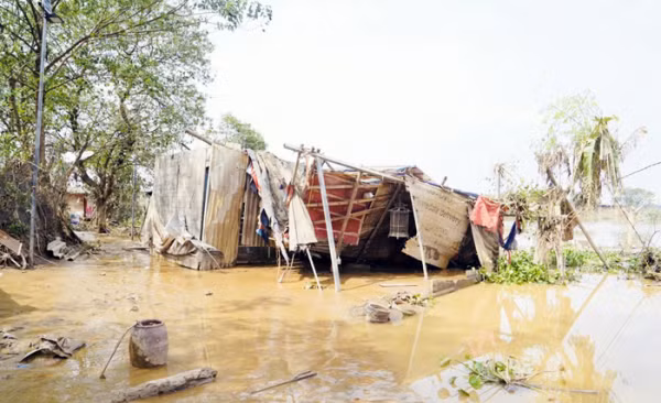 Bãi giữa sông Hồng tiêu điều sau bão Yagi.