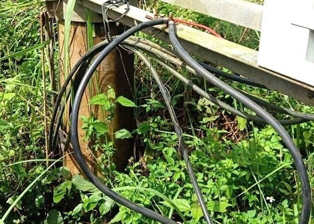 Đường dây điện bị kẻ gian cắt nham nhở, rút ruột dây đồng. Ảnh: Thanh Tuấn