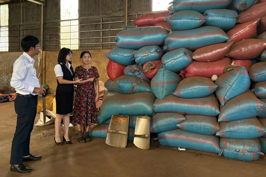 Hộ vay vốn của Agribank Chi nhánh huyện Mang Yang đầu tư kinh doanh nông sản ở xã Đak Djrăng. Ảnh: Thanh Nhật Hộ vay vốn của Agribank Chi nhánh huyện Mang Yang đầu tư kinh doanh nông sản ở xã Đak Djrăng. Ảnh: Thanh Nhật