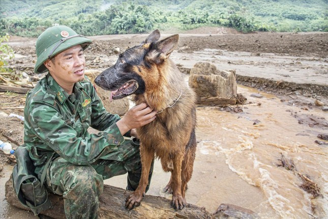 Thiếu tá Nguyễn Văn Hưởng cùng chú chó tên Vát tìm kiếm người mất tích tại thôn Làng Nủ Ảnh: Văn Chương Thiếu tá Nguyễn Văn Hưởng cùng chú chó tên Vát tìm kiếm người mất tích tại thôn Làng Nủ Ảnh: Văn Chương