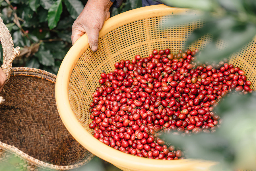 Ảnh minh họa/Nguồn: Internet