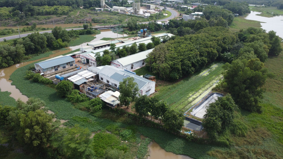 Khu nhà xưởng của công ty sản xuất găng tay ở P.Minh Thành