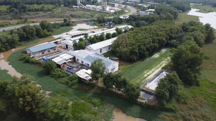 Khu nhà xưởng của công ty sản xuất găng tay ở P.Minh Thành