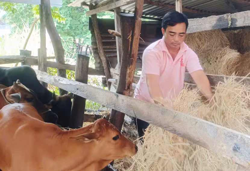 Gia đình anh Kpă Lam (Bôn Phu Ma Nher 1, xã Ia Rtô) thoát nghèo nhờ biết tích lũy vốn sản xuất nuôi trồng. Ảnh: K.H