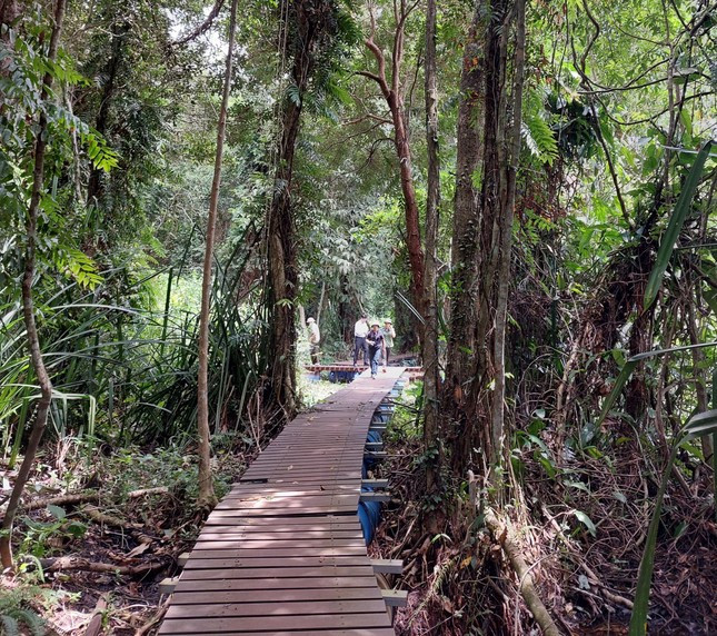 Con đường tuần tra được lắp cầu phao, mặt lót ván