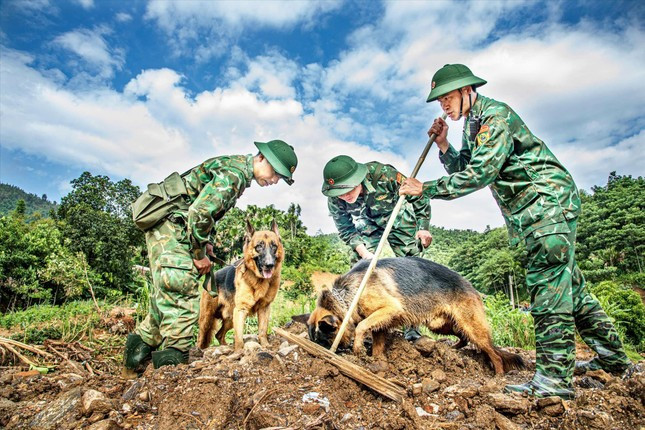 Con Vát và bạn của nó cùng những người lính đang tìm kiếm người mất tích ở Làng Nủ Ảnh: Văn Chương Con Vát và bạn của nó cùng những người lính đang tìm kiếm người mất tích ở Làng Nủ Ảnh: Văn Chương