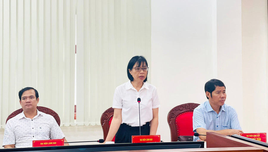 Phó Chủ tịch UBND tỉnh Nguyễn Thị Thanh Lịch tham gia ý kiến tại hội nghị. Ảnh: A.H