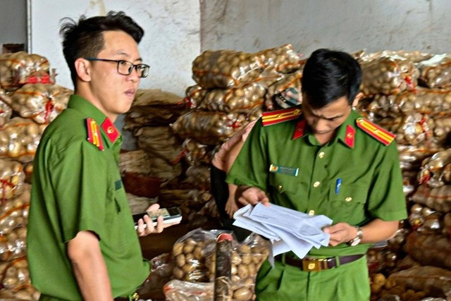 Lực lượng Công an tỉnh Lâm Đồng kiểm tra một cơ sở &quot;hô biến&quot; khoai tây Trung Quốc thành khoai tây Đà Lạt thời gian qua.