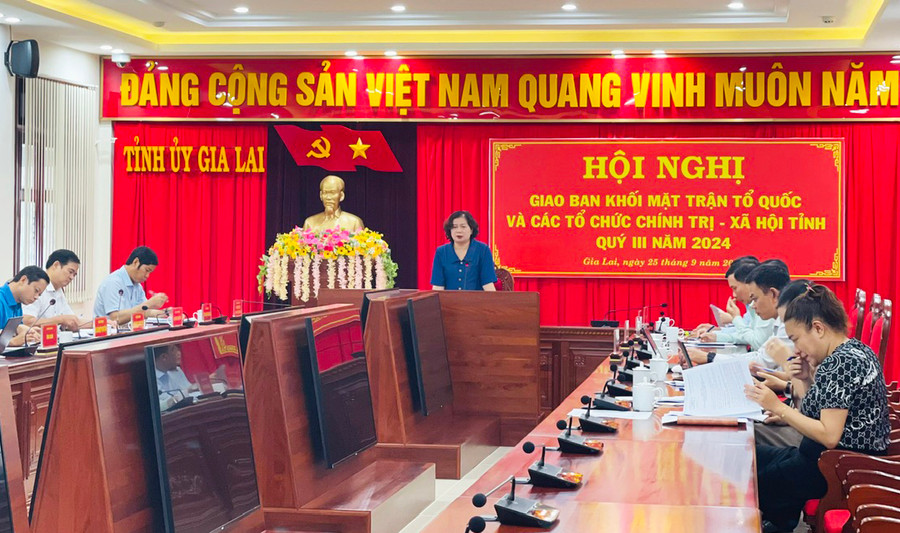 Ủy viên Ban Thường vụ Tỉnh ủy, Trưởng ban Dân vận Tỉnh ủy Phạm Thị Tố Hải phát biểu tại hội nghị. Ảnh: A.H