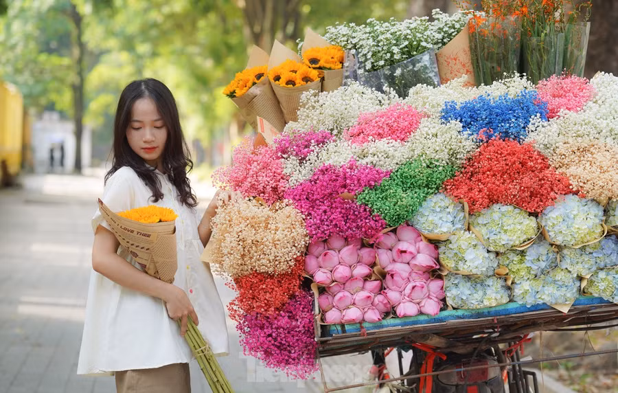 "Với mình, thu Hà Nội mà không chụp ảnh trên phố Phan Đình Phùng là điều rất thiếu. Bão đi qua, con đường đẹp trở lại khiến mình cũng cảm thấy Thủ đô đẹp hơn", bạn Thuỳ Chi chia sẻ.