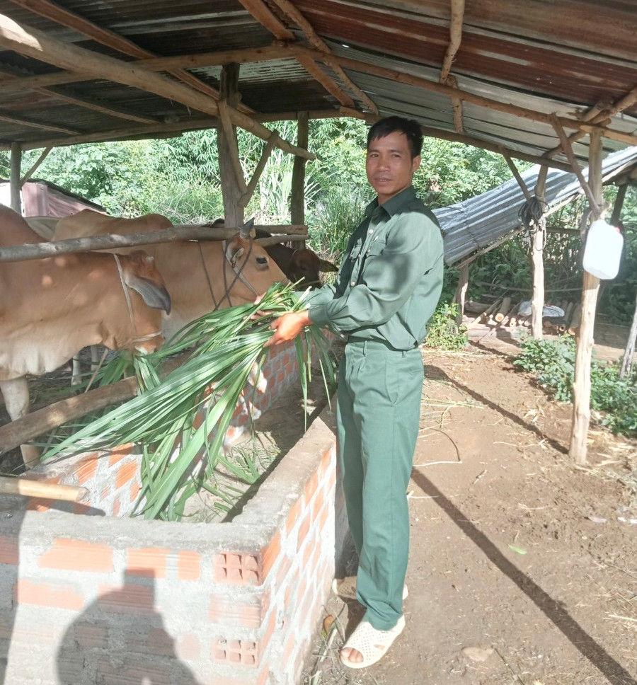 Cựu chiến binh Đinh Văn Hân làm giàu nhờ thay đổi nếp nghĩ, cách làm trong sản xuất. Ảnh: P.D Cựu chiến binh Đinh Văn Hân làm giàu nhờ thay đổi nếp nghĩ, cách làm trong sản xuất. Ảnh: P.D