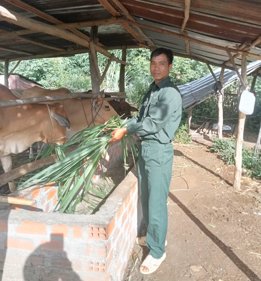 Cựu chiến binh Đinh Văn Hân làm giàu nhờ thay đổi nếp nghĩ, cách làm trong sản xuất. Ảnh: P.D