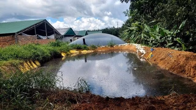 Hầm chứa nước thải không được che chắn, bốc mùi hôi thối