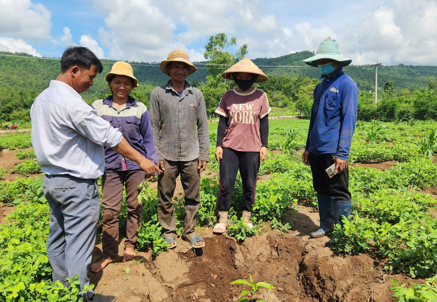 Ông Đinh Hnem (ngoài cùng bên trái)-Chủ tịch Hội Nông dân xã Ayun trao đổi với người dân làng Keo về cách trồng và chăm sóc cây cà phê. Ảnh: P.N Ông Đinh Hnem (ngoài cùng bên trái)-Chủ tịch Hội Nông dân xã Ayun trao đổi với người dân làng Keo về cách trồng và chăm sóc cây cà phê. Ảnh: P.N