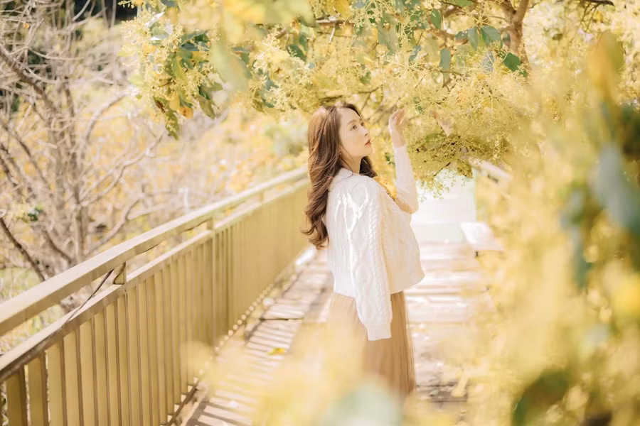 Thời gian chụp ảnh lý tưởng với hoa bơ Đà Lạt là 6 - 8 giờ sáng.