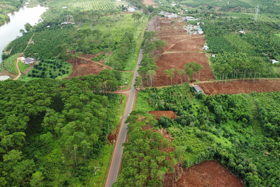 Khu vực huyện Đắk Glong phối hợp với các ngành chức năng trồng lại rừng thông trong năm 2022. Ảnh: Phan Tuấn Khu vực huyện Đắk Glong phối hợp với các ngành chức năng trồng lại rừng thông trong năm 2022. Ảnh: Phan Tuấn