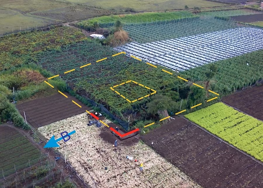 Quy mô (đoán định) của phế tích Champa Gò Tháp (xã An Phú, thành phố Pleiku) với tường bao bên ngoài và ngôi đền ở chính giữa. Ảnh: Huỳnh Bá Tính