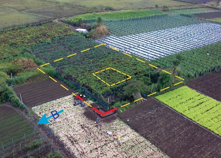 Quy mô (đoán định) của phế tích Champa Gò Tháp (xã An Phú, thành phố Pleiku) với tường bao bên ngoài và ngôi đền ở chính giữa. Ảnh: Huỳnh Bá Tính Quy mô (đoán định) của phế tích Champa Gò Tháp (xã An Phú, thành phố Pleiku) với tường bao bên ngoài và ngôi đền ở chính giữa. Ảnh: Huỳnh Bá Tính