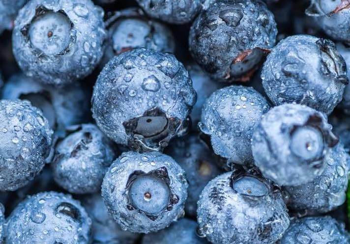 Việt quất là loại trái cây mọng góp phần bảo vệ gan khoẻ mạnh. Ảnh: Hải Anh