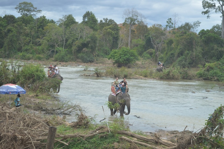 Khách du lịch cưỡi voi thưởng ngoạn thắng cảnh ở huyện Buôn Đôn, tỉnh Đắk Lắk. Ảnh: Bảo Trung