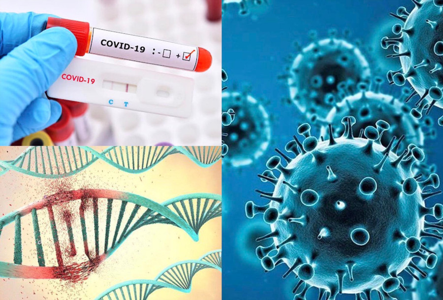 Tại khu vực miền Nam, Bộ Y tế đã giao Viện Pasteur TP.Hồ Chí Minh là đơn vị có Phòng xét nghiệm An toàn sinh học cấp III để thực hiện việc nuôi cấy, phân lập virus SARS-CoV-2. Ảnh đồ họa: Hương Giang