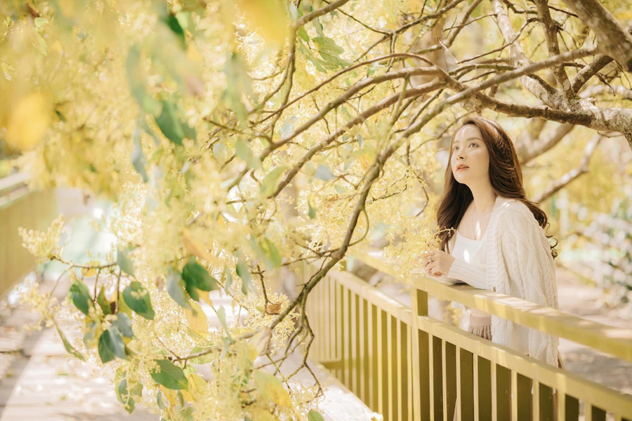 Ngoài check-in mùa hoa bơ, du khách có thể đến địa điểm này uống trà, cà phê, đặt homestay. Ngoài check-in mùa hoa bơ, du khách có thể đến địa điểm này uống trà, cà phê, đặt homestay.