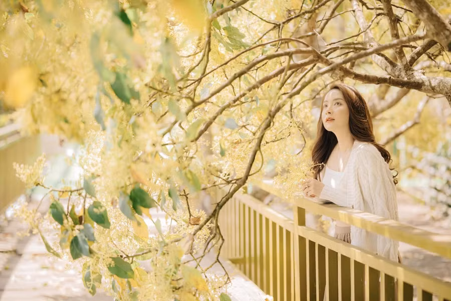 Ngoài check-in mùa hoa bơ, du khách có thể đến địa điểm này uống trà, cà phê, đặt homestay.