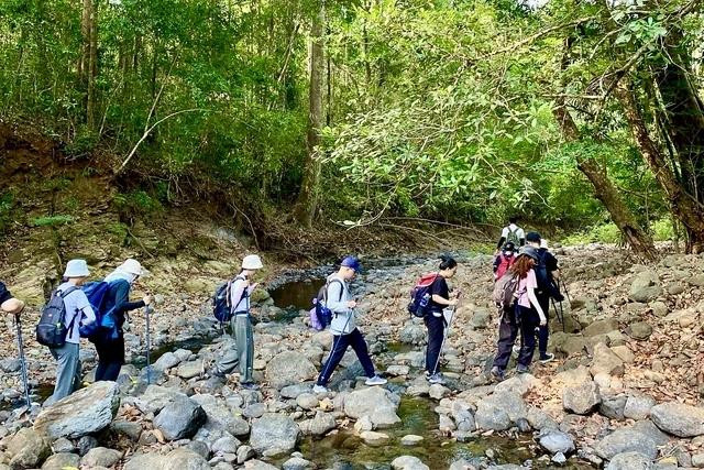 Chương trình đi rừng thường được thiết kế có nhiều địa hình để người tham gia trải nghiệm từ đồi dốc đến suối đá Chương trình đi rừng thường được thiết kế có nhiều địa hình để người tham gia trải nghiệm từ đồi dốc đến suối đá