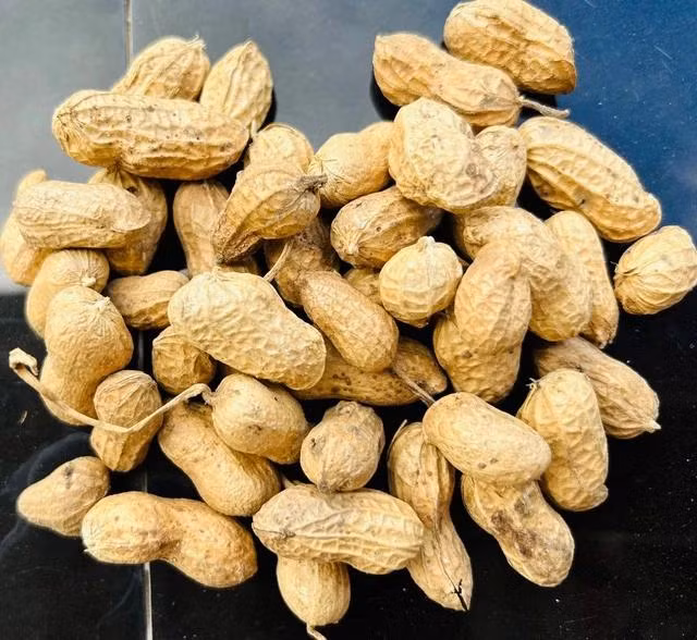 Mặc dù đậu phộng có nhiều lợi ích, tuy nhiên cần lưu ý là tiêu chảy kiêng ăn đậu phộng Mặc dù đậu phộng có nhiều lợi ích, tuy nhiên cần lưu ý là tiêu chảy kiêng ăn đậu phộng