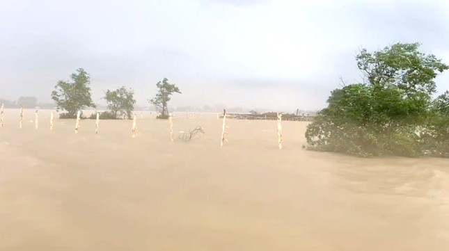 Bờ cồn Sơn trên sông Hậu (giữa Cần Thơ - Vĩnh Long) sạt lở, làm diện tích thu hẹp. Ảnh: Hòa Hội Bờ cồn Sơn trên sông Hậu (giữa Cần Thơ - Vĩnh Long) sạt lở, làm diện tích thu hẹp. Ảnh: Hòa Hội