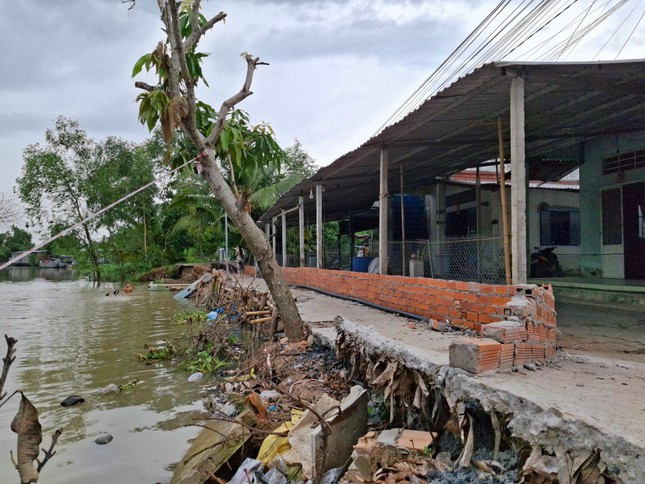 Sạt lở bờ sông tại phường Tân Phú, quận Cái Răng, TP Cần Thơ tháng 6/2024, dù chính quyền và người dân đã dùng nhiều biện pháp bảo vệ bờ bao. Ảnh: Cảnh Kỳ