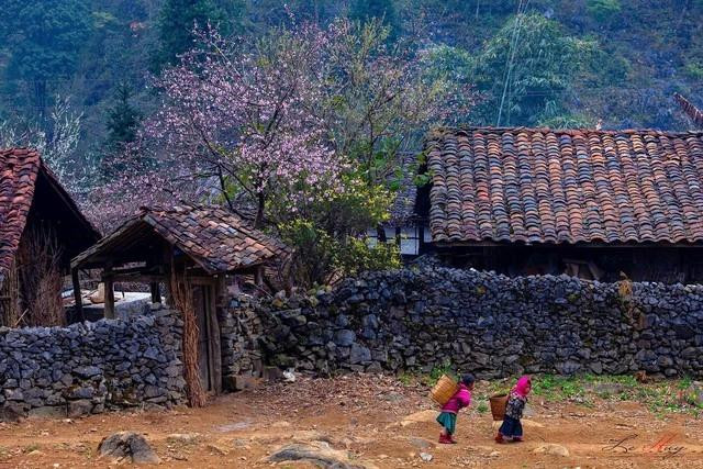 Vẻ đẹp cao nguyên đá Đồng Văn, Hà Giang Vẻ đẹp cao nguyên đá Đồng Văn, Hà Giang