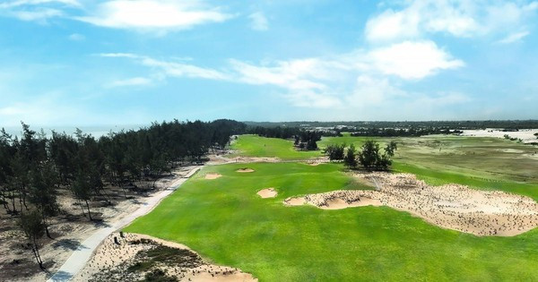 Ảnh: TPO Ảnh: TPO