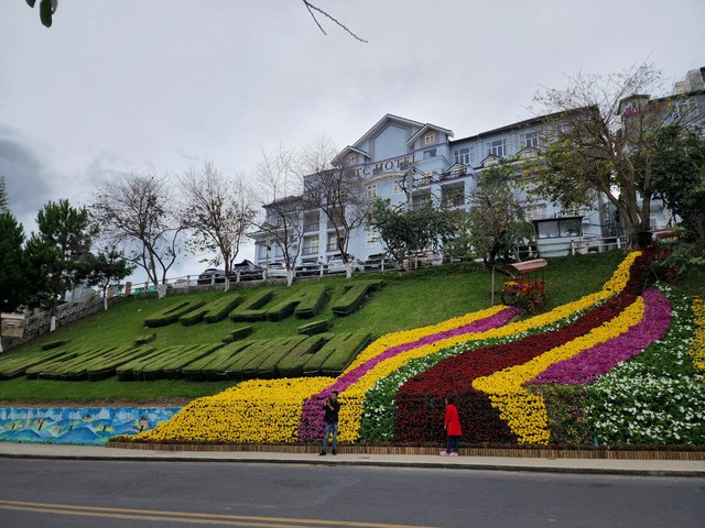 &quot;Thác hoa&quot; trên đường Lê Đại Hành, TP.Đà Lạt