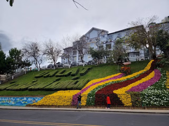 "Thác hoa" trên đường Lê Đại Hành, TP.Đà Lạt "Thác hoa" trên đường Lê Đại Hành, TP.Đà Lạt