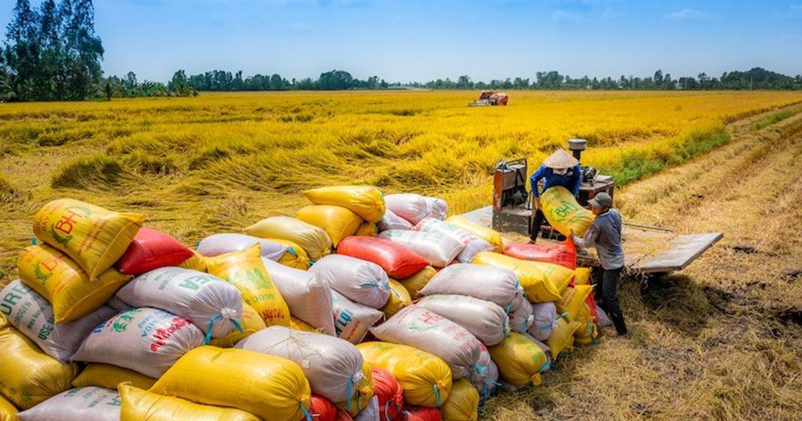 Ảnh minh hoạ: Internet