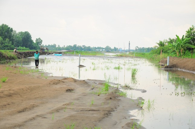 Công trường Cao tốc Cần Thơ - Cà Mau đoạn qua tỉnh Hậu Giang chờ cát để san nền vào tháng 5/2024. Ảnh: Cảnh Kỳ Công trường Cao tốc Cần Thơ - Cà Mau đoạn qua tỉnh Hậu Giang chờ cát để san nền vào tháng 5/2024. Ảnh: Cảnh Kỳ