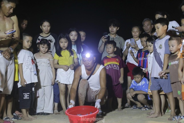 Rùa con được hỗ trợ thả và biển. Ảnh: Dũng Nhân Rùa con được hỗ trợ thả và biển. Ảnh: Dũng Nhân