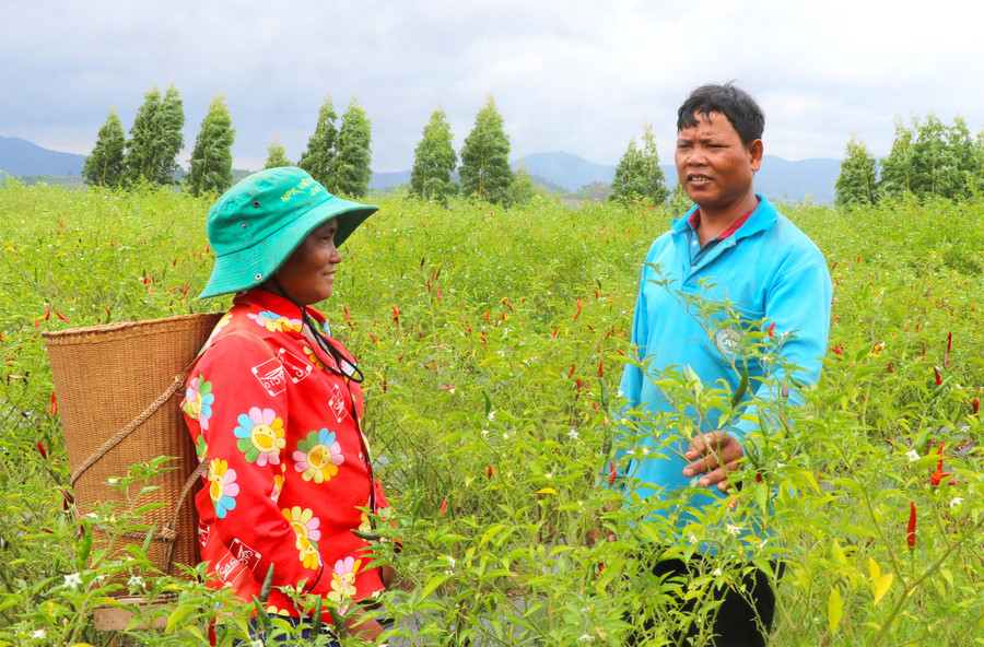 Ông Đinh Pít tuyên truyền, vận động người dân chuyển đổi cơ cấu cây trồng để nâng cao thu nhập. Ảnh: N.M