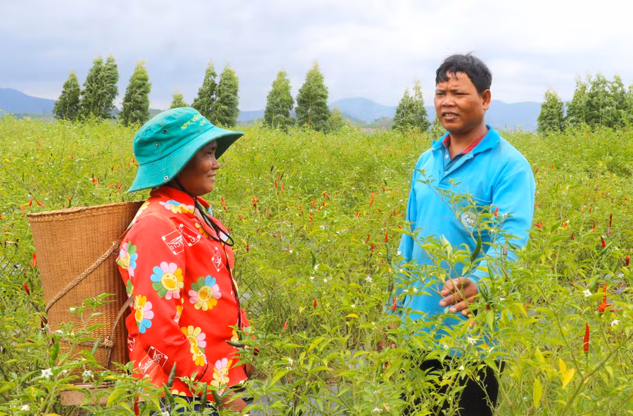 Ông Đinh Pít tuyên truyền, vận động người dân chuyển đổi cơ cấu cây trồng để nâng cao thu nhập. Ảnh: N.M