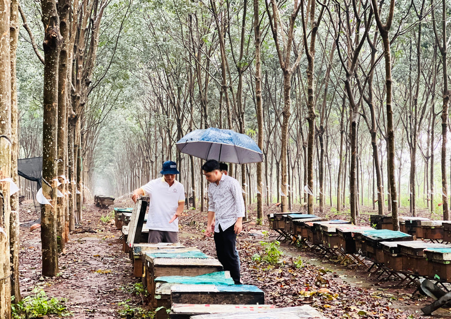 Hội viên nông dân huyện Chư Prông tham quan mô hình nông nghiệp nhằm nâng cao kỹ năng liên kết trong sản xuất. Ảnh: M.K