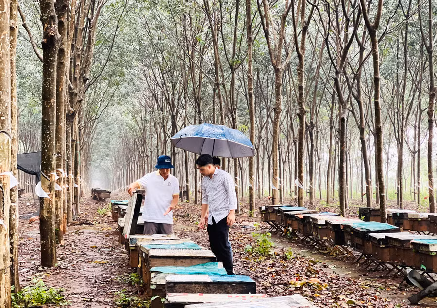 Hội viên nông dân huyện Chư Prông tham quan mô hình nông nghiệp nhằm nâng cao kỹ năng liên kết trong sản xuất. Ảnh: M.K