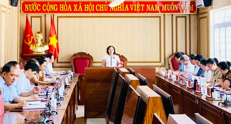 Phó Chủ tịch HĐND tỉnh Ayun H’Bút phát biểu kết thúc buổi giám sát tại Sở Y tế. Ảnh: N.N