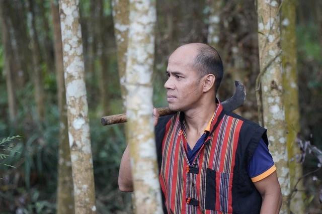 Ông Hồ Văn Vàng, Bí thư chi bộ thôn Ho Rum, cũng có rừng keo lai thuộc diện không được khai thác